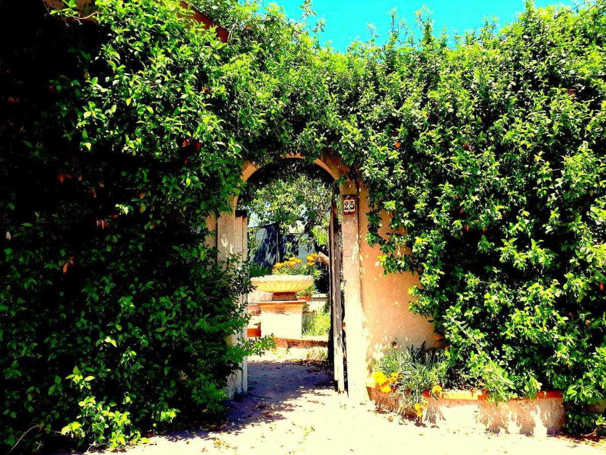 Casa Magnolia